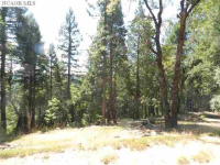 12161 Casci Ct, Nevada City, CA Image #7560686