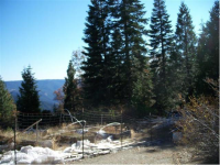 30399 Yellow Pine Ln, Nevada City, CA Image #7560715