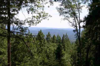 14161 Banner Mountain Lookout Road, Nevada City, CA Image #7561162