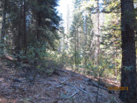 22778 Missouri Ridge, Nevada City, CA Image #7561645