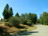 044 Bluebird Way, Oregon House, CA Image #7562263