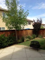 25071 Acorn Ct, Corona, CA Image #7571079