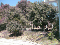 9192 Aubrey Circle, Villa Park, CA Image #7572868