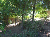 18602 Valley Drive, Villa Park, CA Image #7572882