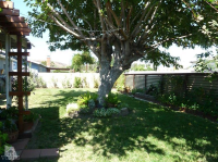 5347 E. Mildred St, Simi Valley, CA Image #7575956