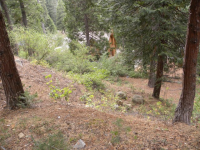 photo for 7225 Yosemite Park Way