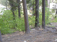 7429 Henness Ridge Rd, Yosemite West, CA Image #8386336