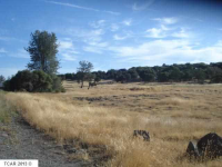 10220 Horseshoe Bend, Sonora, CA Image #8408742