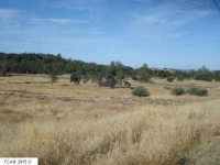 10220 Horseshoe Bend, Sonora, CA Image #8408735