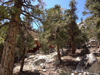 1 Whitney Portal, Lone Pine, CA Image #8526729