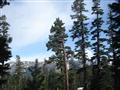 1610 Forest Trail (MSlopes II #90), Mammoth Lakes, CA Main Image