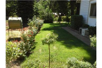7879 Slate Street, Stirling City, CA Image #8539901