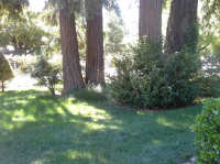 7879 Slate Street, Stirling City, CA Image #8539926