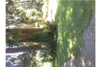 7879 Slate Street, Stirling City, CA Image #8539904
