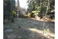 17081 Skyway, Stirling City, CA Image #8539950
