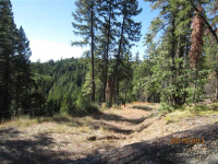 2061 Pathfinder Trail, Spring Garden, CA Image #8541291