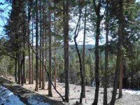 2501 Sugar Pine Trail, Spring Valley, CA Image #8541293