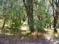 45041 Forest Dr, Posey, CA Image #8822136