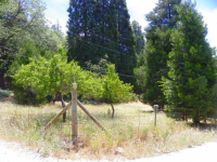 45041 Forest Dr, Posey, CA Image #8822127