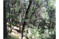 18000 Deer Crk, Forest Ranch, CA Image #8901289