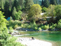 131 Gold Bluff Road, Downieville, CA Image #8907754