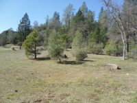 3787 Oleo Acres Rd., Mountain Ranch, CA Image #9514464