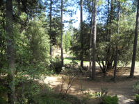 997 Forest Meadows Dr., Murphys, CA Image #9514615