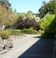 6441 Meadow Creek Lane, Santa Rosa, CA Image #9531545