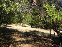 3445 Meadow Wood Drive, Kelseyville, CA Image #9536595