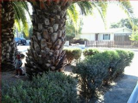 246 Brookside Av, Santa Cruz, CA Image #9576830