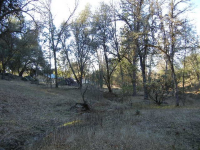 3918 Owl Creek Rd, Mariposa, CA Image #9588375
