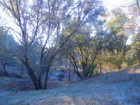 3918 Owl Creek Rd, Mariposa, CA Image #9588376