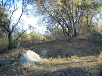 3677 Quail Ridge Dr, Mariposa, CA Image #9588397