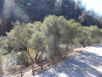 11202 Bull Creek Rd, Mariposa, CA Image #9588472