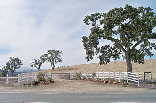 955 Templeton Road, Templeton, CA Main Image