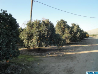 26095 Rd 212, Exeter, CA Image #9720078