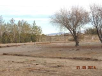 42677 Bedford Dr, Newberry Springs, CA Image #9818571