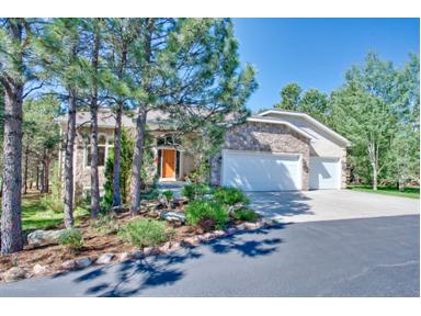 720 Trumpeters Ct, Monument, CO Main Image