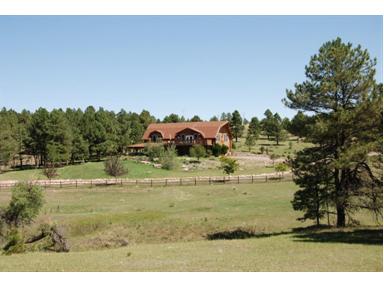 24650 High Timber Ln, Agate, CO Main Image