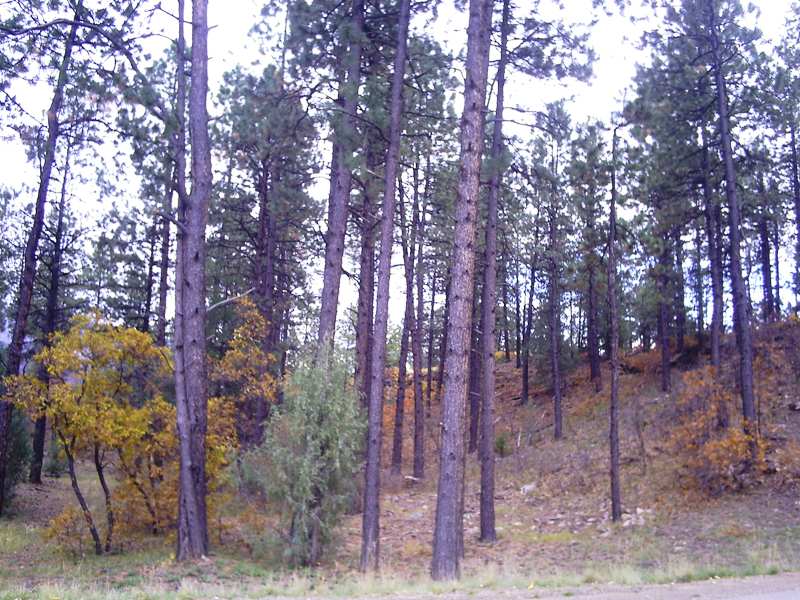 189 Hideout Trail, Durango, CO Main Image