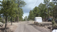 34461 Whispering Pines Trail, Pine, CO Image #6044507
