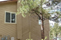 34461 Whispering Pines Trail, Pine, CO Image #6044505