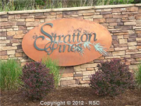 Lot 15 Stratton Pines Pt, Colorado Springs, CO Image #9519348