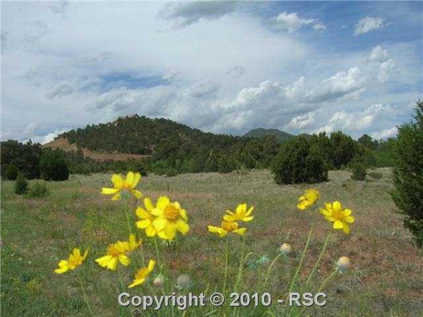 15620 Rancho Pavo Dr, Colorado Springs, CO Main Image