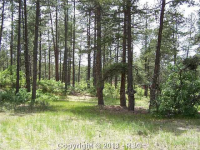 photo for 1687 Wild Timber Ct
