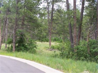 1725 Wild Timber Court, Franktown, CO Image #9586790