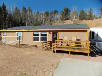 181 Anderson Rd, Florissant, CO Image #9587500