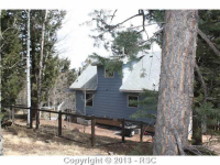 95 Knighthood Ln, Divide, CO Image #9587917