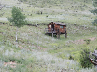 84 County Rd. 62, Divide, CO Image #9587923