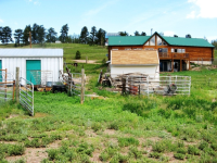 144 Pine Bluff Rd, Divide, CO Image #9587969